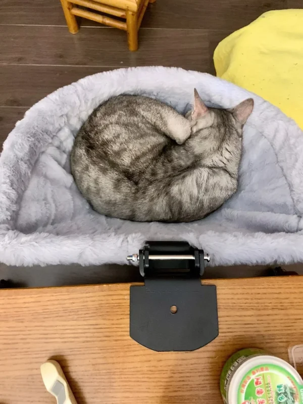 Silver tabby curled up asleep in a desk-mounted bed